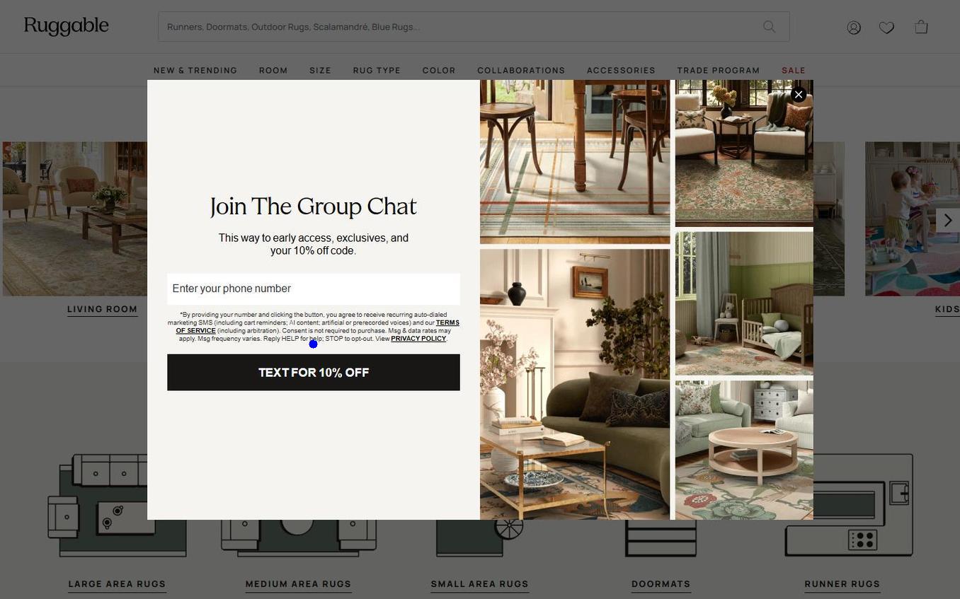 Ruggable - Popup Step3 Phone Form Fresh