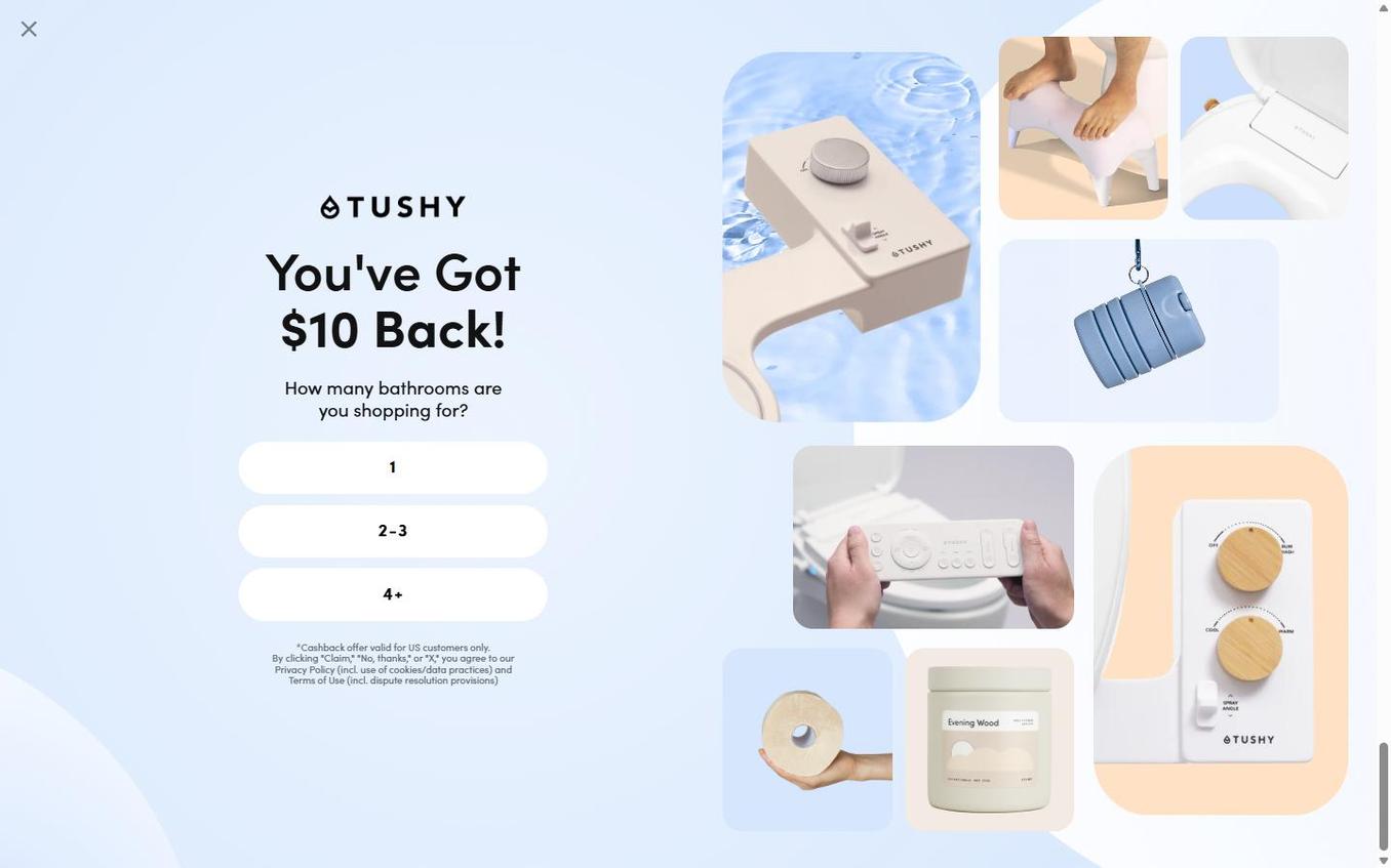 TUSHY - Popup Step1 Survey Bathrooms BEFORE