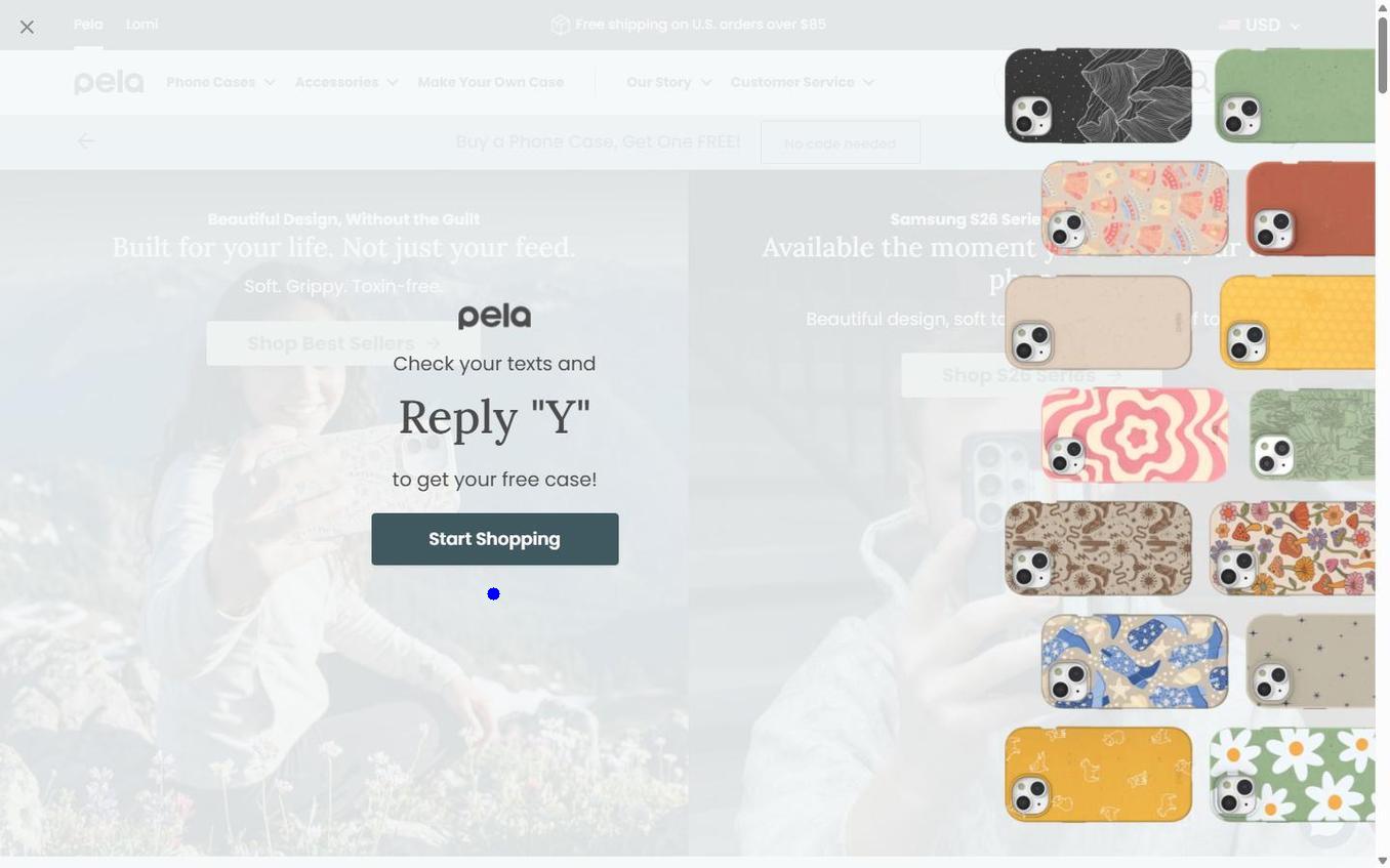 Pela - Popup Final Confirmation Reply Y